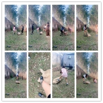 沅芷 麻袋暴揍当场退圈