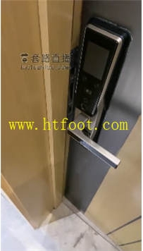 TL31461 梵高】剧情32分钟