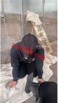 TLZB26344 77夫妻-犬舍玩狗脏靴底圣水舔舐虐乳34分