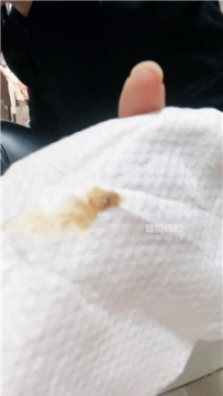 【第一视角】【小拽】黄金灯    251016-28