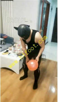 TL27562 月儿】像狗一样的爬过来30分钟