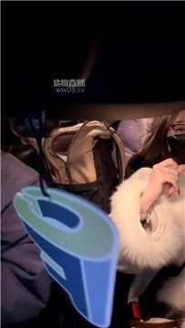 【调教视频】【HLlll】真实开发司机狗 JS251205-4