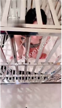 ZB3224【茹雪】双主VS母畜-狗笼圈养舔圣水人体烟灰缸踩狗头59分钟