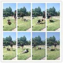 沅芷 狗畜就是用来打着玩的