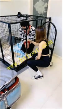 TL39999 宁波奶萍】双主圈养25分钟