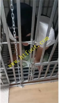 TL41240 平凡】圈养宠物踩踏喂食61分钟