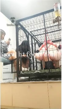 TL14682 维因S双女王电击奴虐哭66分钟