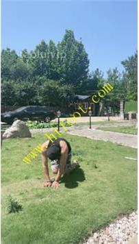 TL37426 沅芷】狗畜就是用来打着玩的46分钟