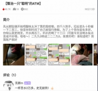 TL41305 沅芷】整治一只聪明的ATM96分钟