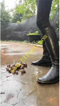 TL37224 万一】公园踩踏几十只42分钟